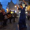 GRITO FLAMENCO grito flamenco